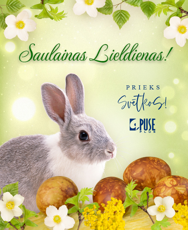 Description of image 8