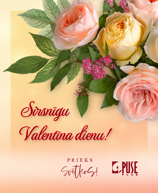 Description of image 8