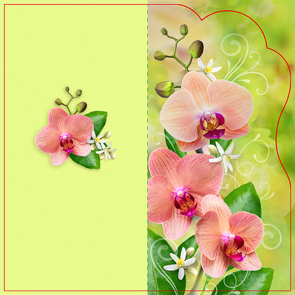 Description of image 4