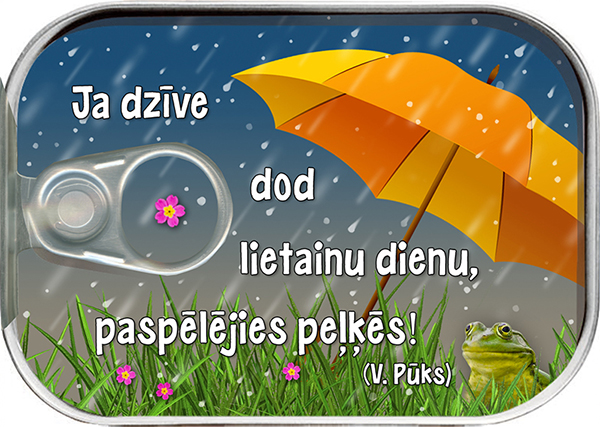 Description of image 3